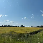 Hohenkaempen Stuhr
