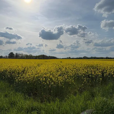 Hohenkämpen * Stuhr