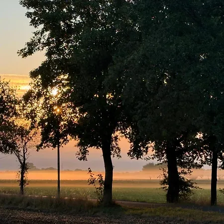 Hohenkämpen *