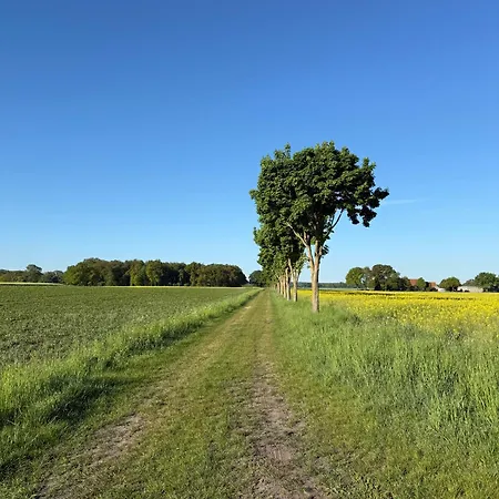 Hohenkämpen * Stuhr