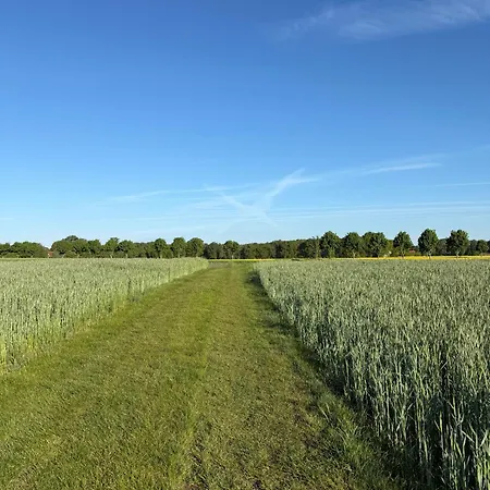Hohenkämpen