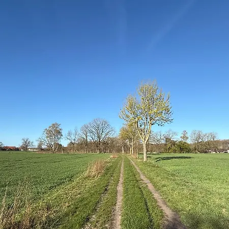 Hohenkämpen * Stuhr